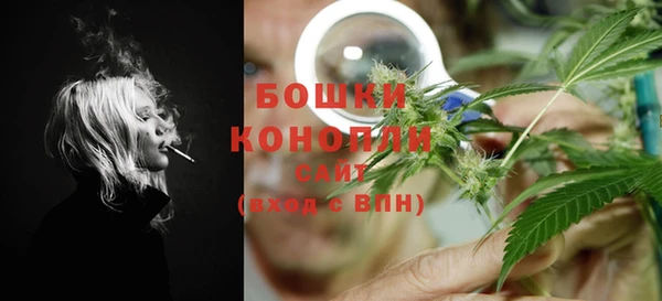 стафф Гусь-Хрустальный