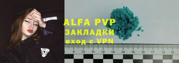 гашик Дмитриев